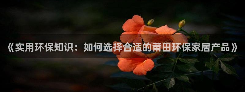 tp钱包DAPP官网下载