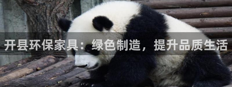 tp官方下载安卓最新版本脚本之家