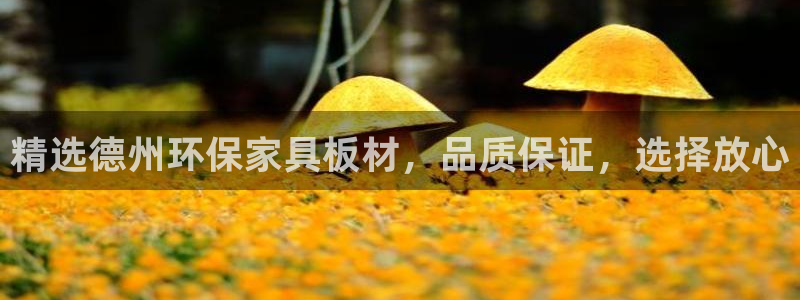 tp官网商城