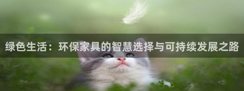 tp钱包 pig币：绿色生活：环保家具的智慧选择与可持续发展