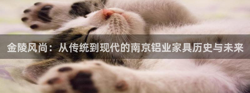 TP观察钱包不显示余额是什么原因
