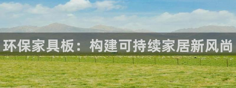 TP钱包BNB显示cop