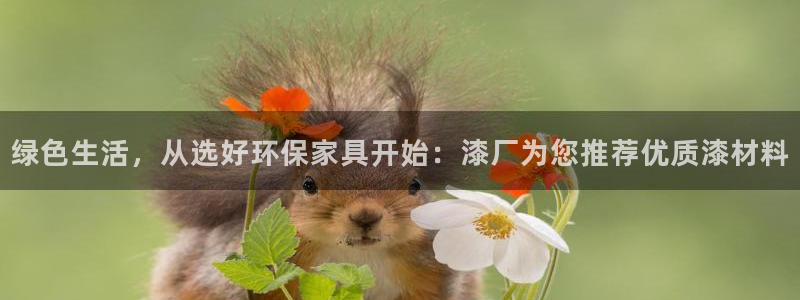tp钱包ht怎么转bnb