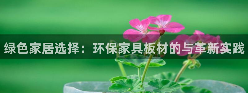 qtpay钱包下载地址