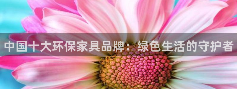 tpwallet官网下载：中国十大环保家具品牌：绿色生活的守