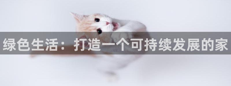 tp钱包love币