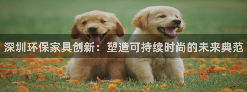 tp官网钱包