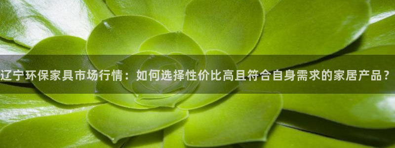 tp波场钱包如何转账usdt：辽宁环保家具市场行情：如何选择