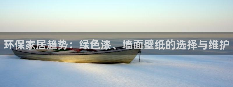tp 钱包看不到资产怎么办