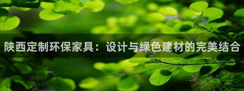 tp钱包 提币：陕西定制环保家具：设计与绿色建材的完美结合