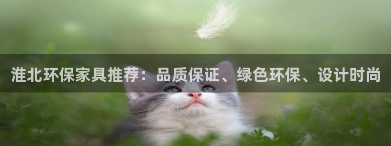 tpt钱包最新版app：淮北环保家具推荐：品质保证、绿色环保