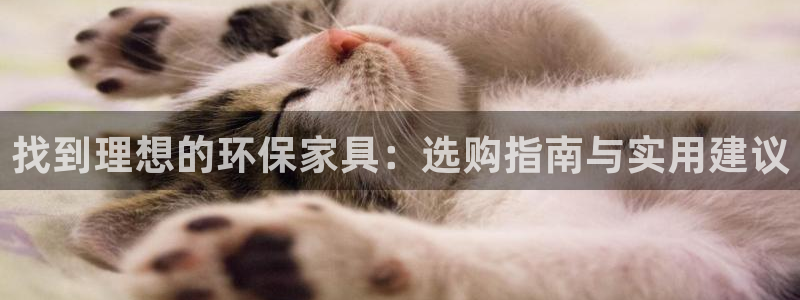 tp钱包安装