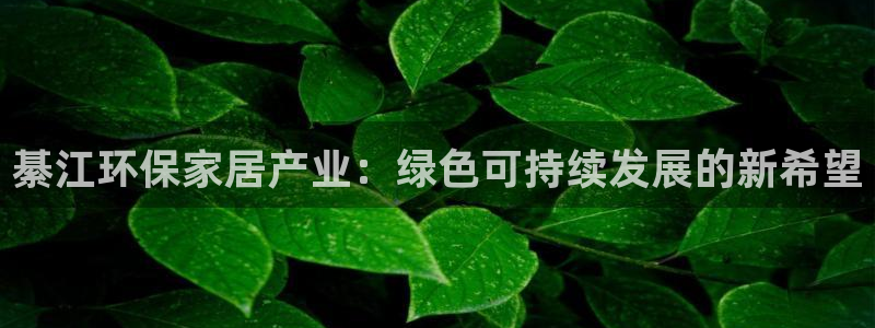 imtoken钱包和tp钱包对比