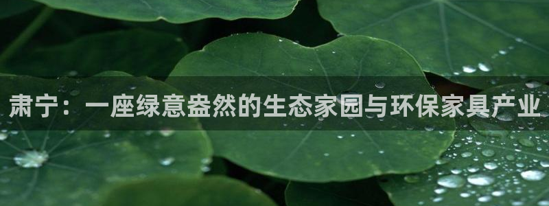 tp 钱包下载进不去：肃宁：一座绿意盎然的生态家园与环保家具
